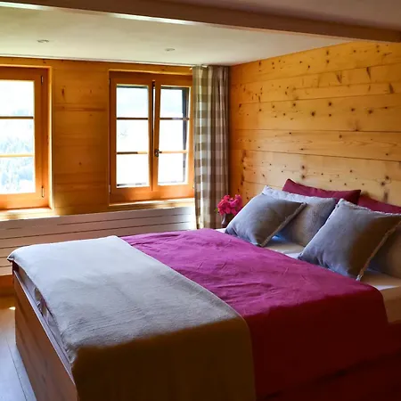 Swiss Mountain-valley View Holiday home *