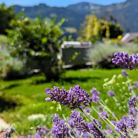 Holiday home Swiss Mountain-valley View