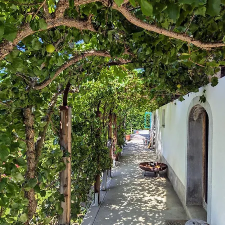 Vakantiehuis Swiss Mountain-valley View *