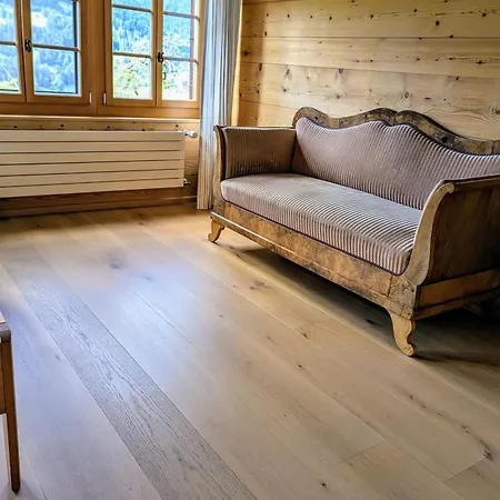 Vakantiehuis Swiss Mountain-valley View *