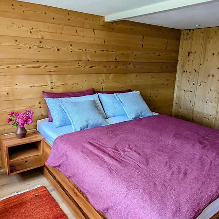 Swiss Mountain-valley View Holiday home