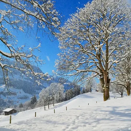 Swiss Mountain-valley View Holiday home *