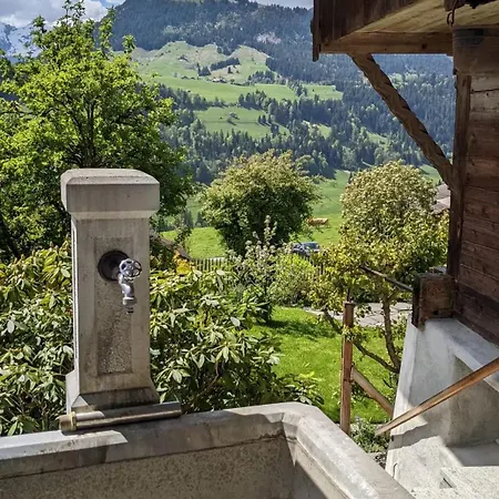 Swiss Mountain-valley View *