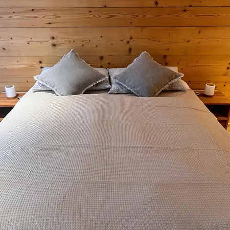 Swiss Mountain-valley View