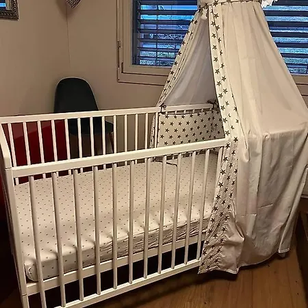 Swiss Mountain-valley View * Erlenbach im Simmental