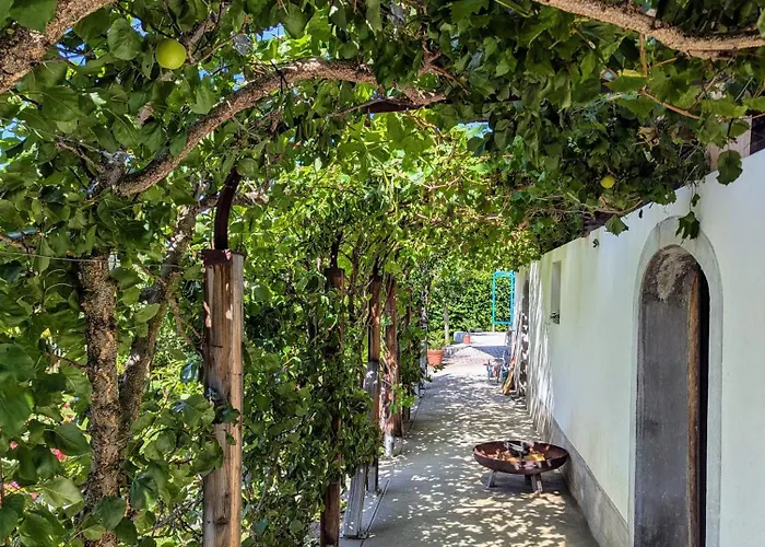 Vakantiehuis Swiss Mountain-valley View *