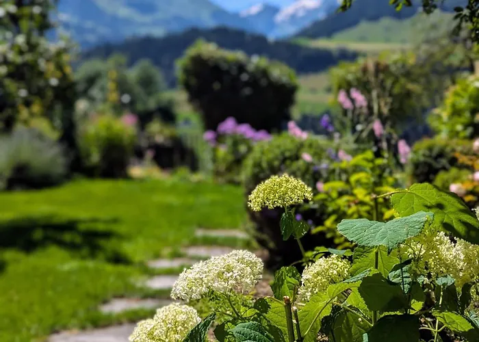 Swiss Mountain-valley View *