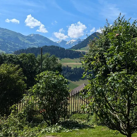Swiss Mountain-valley View * Erlenbach im Simmental