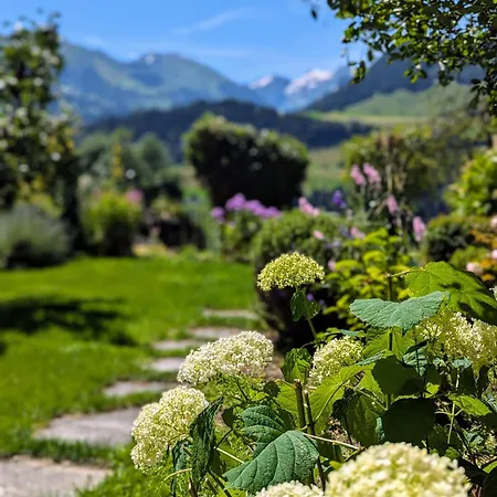 Swiss Mountain-valley View *